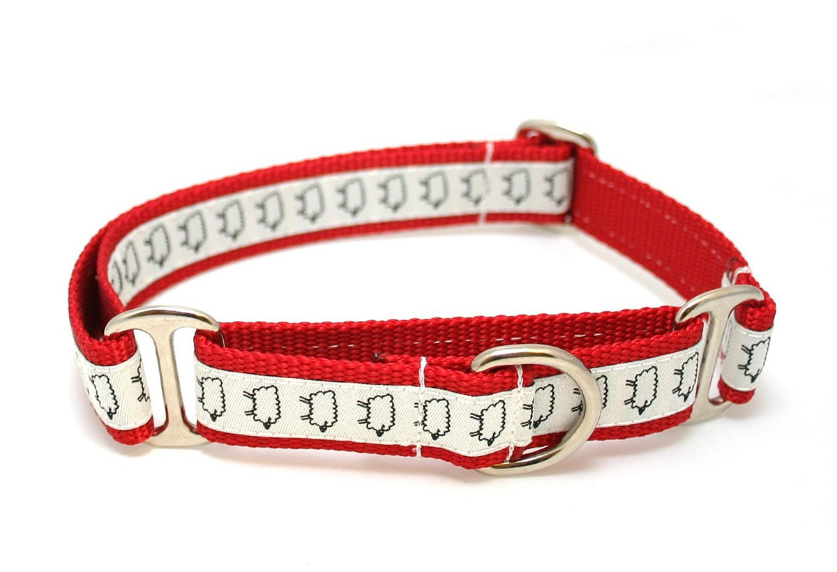 9 Types Of Dog Harnesses For EVERY Type Of Dog (+ What We Use) 2020